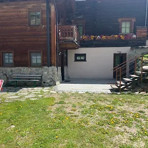Michele Livigno
